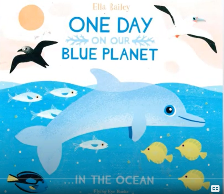 one day blue planet